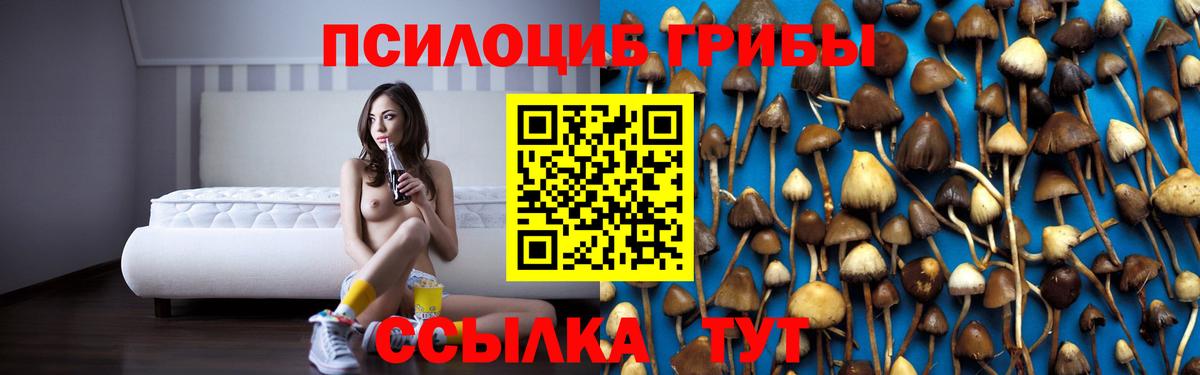 Первоуральск  Псилоцибиновые грибы Psilocybine cubensis  Вход с VPN 